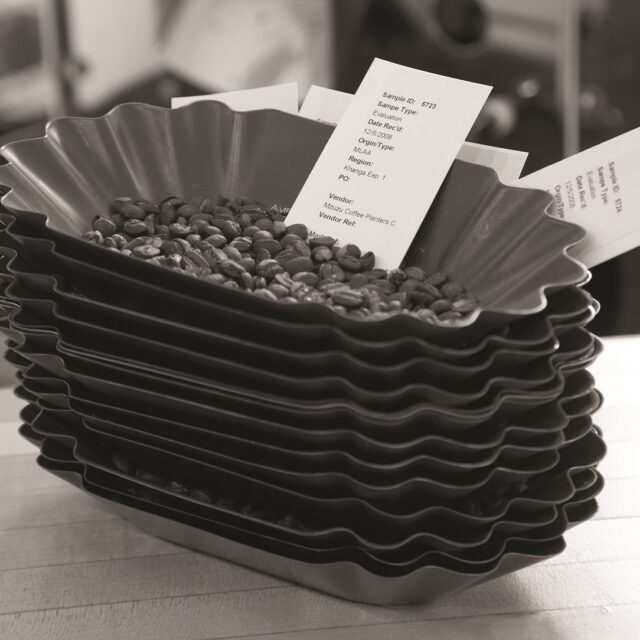Cupping/Roasting